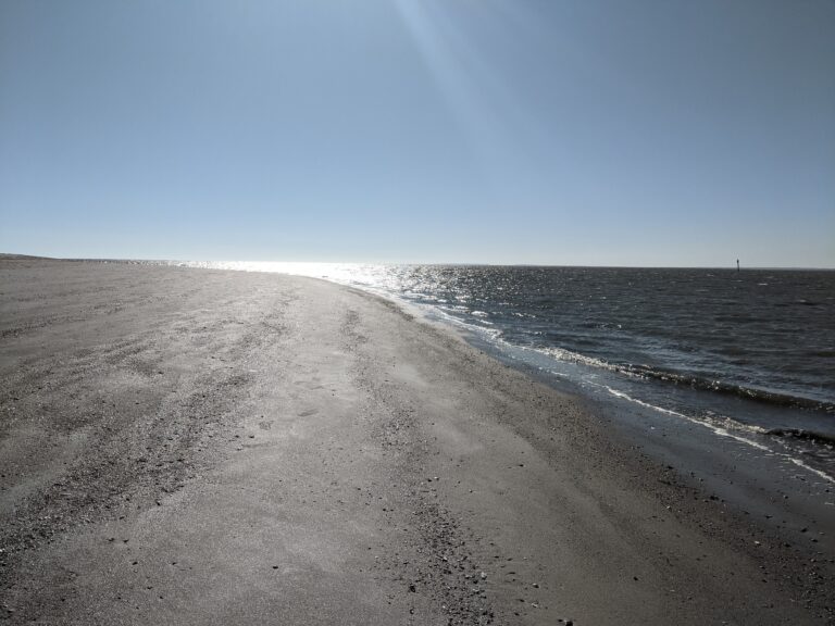 Edisto Beach Trip